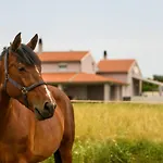 Ana Prázdninový dům Fažana
