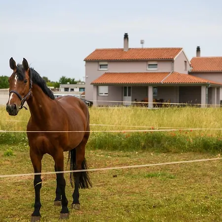 Ana Ferienhaus Fažana
