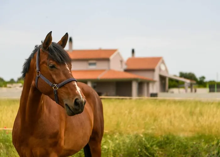 Ana Casa vacanze Fažana